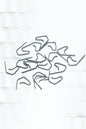 Steel Curtain Hooks