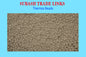 Thermo Beads