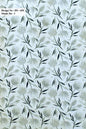 Curtain Cloth