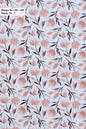Curtain Cloth