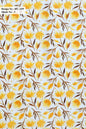 Curtain Cloth