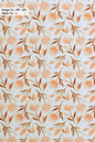 Curtain Cloth