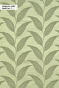 Curtain Cloth