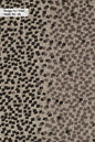 Curtain Cloth