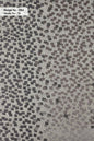 Curtain Cloth