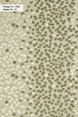 Curtain Cloth