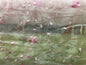 Curtain Cloth
