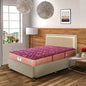 Spring Mattress
